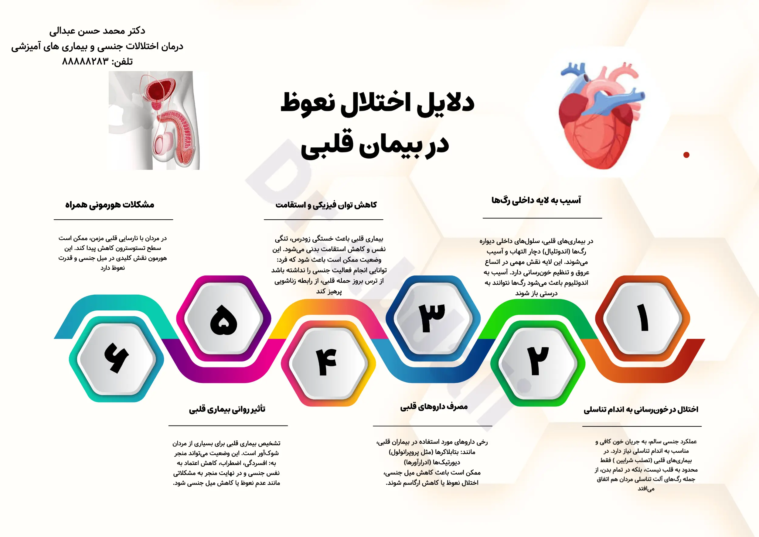 اینفوگرافی دلایل اختلال نعوظ در بیماران قلبی