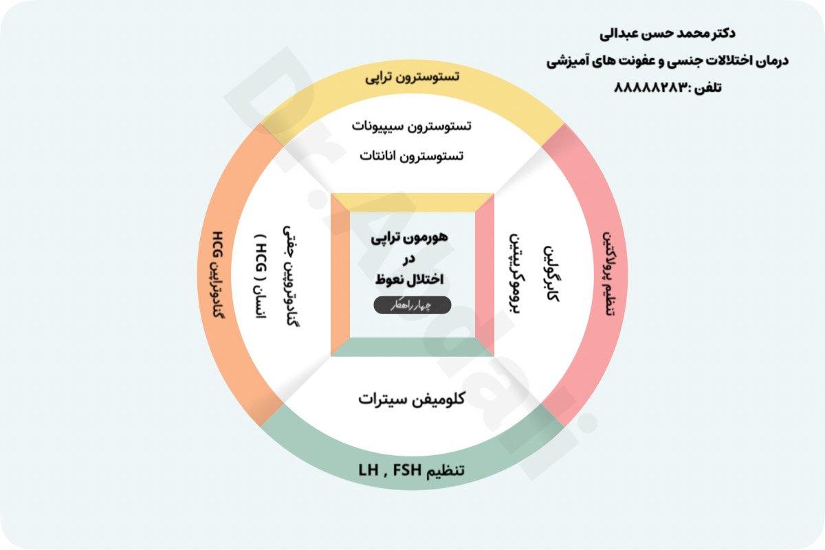  چهار درمان اختلالات هورمونی نعوظ  