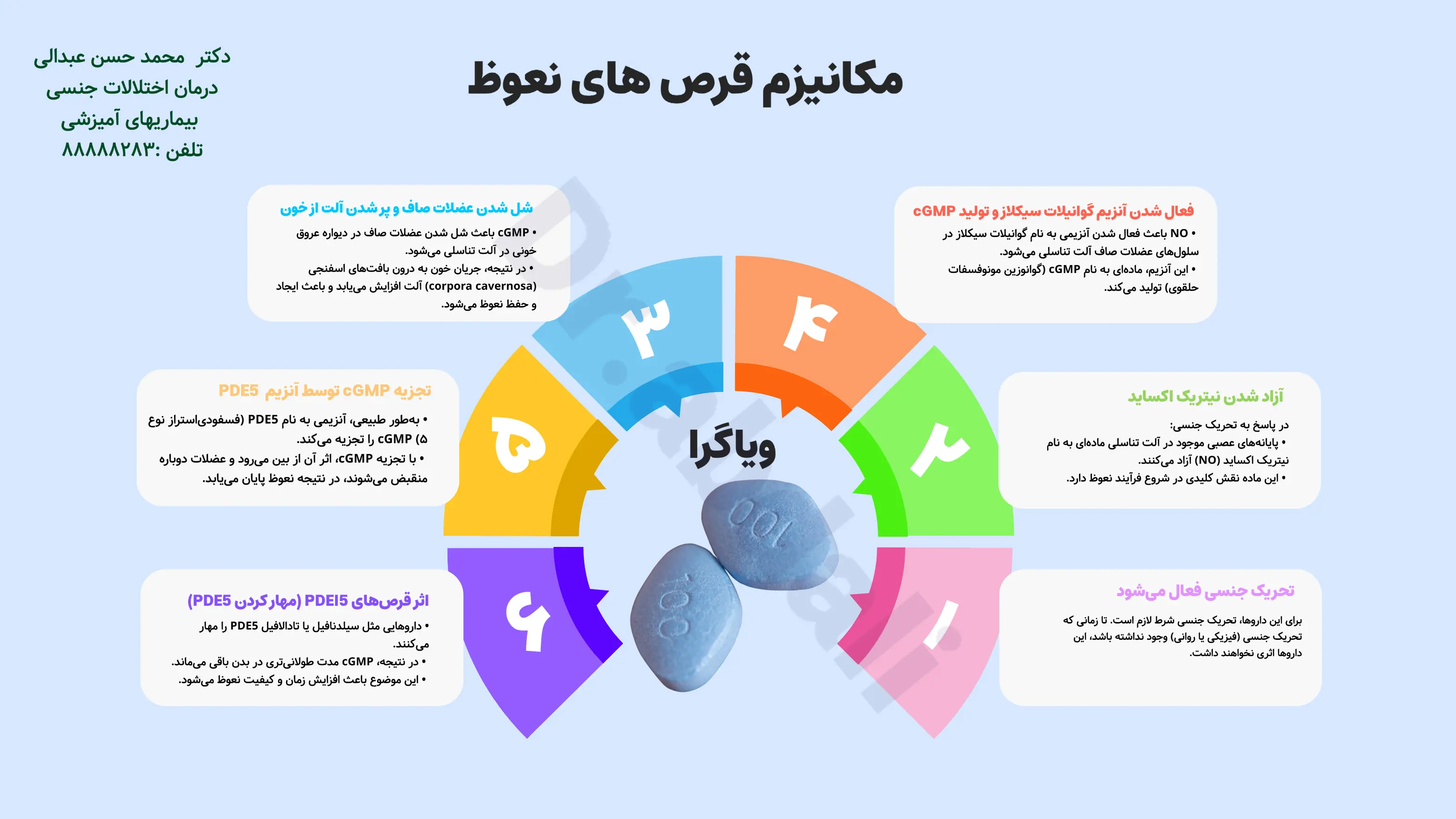 اینفوگرافی مکانیزم داروهای اختلال نعوظ