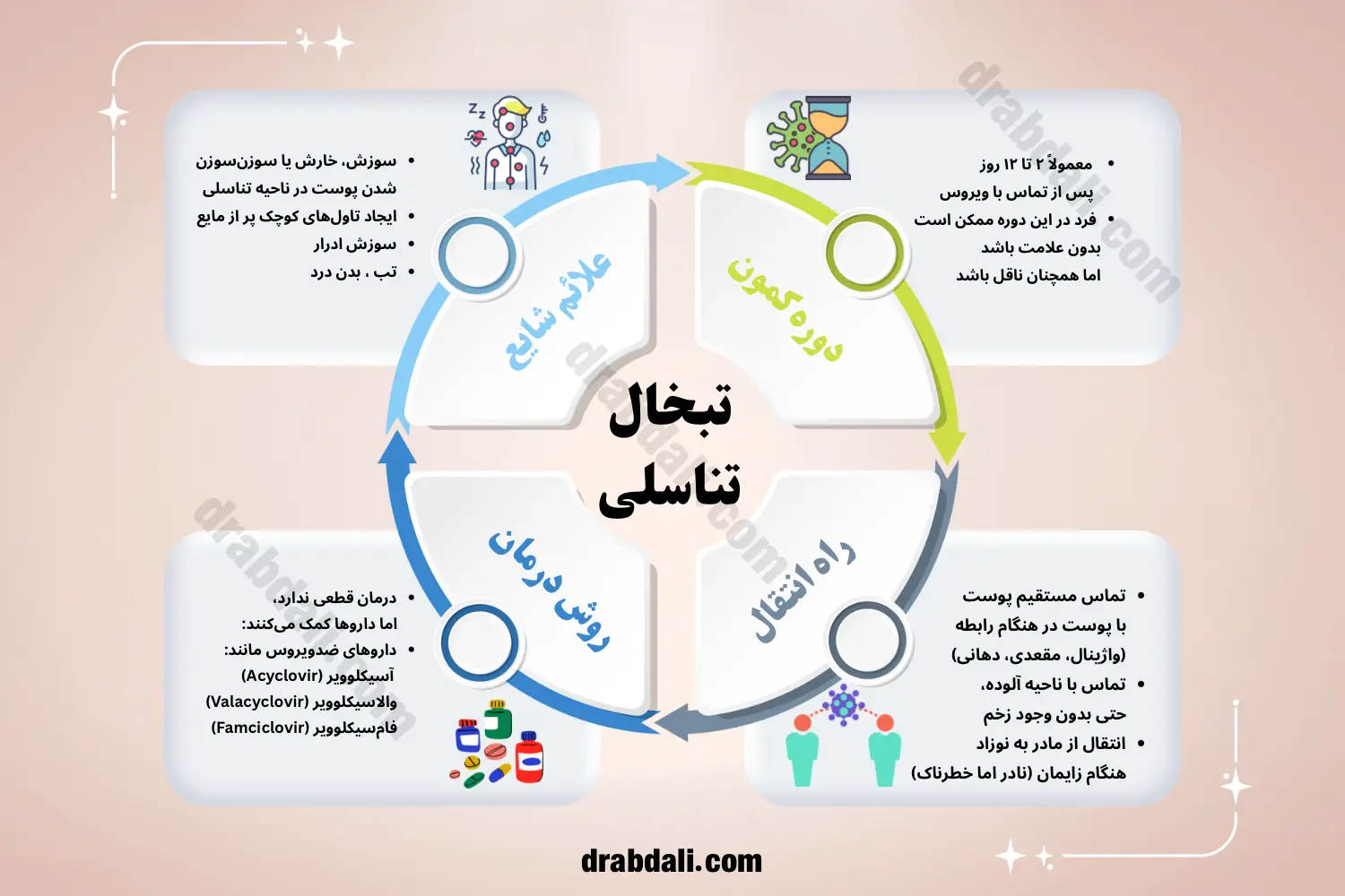 اینفوگرافی تبخال تناسلی