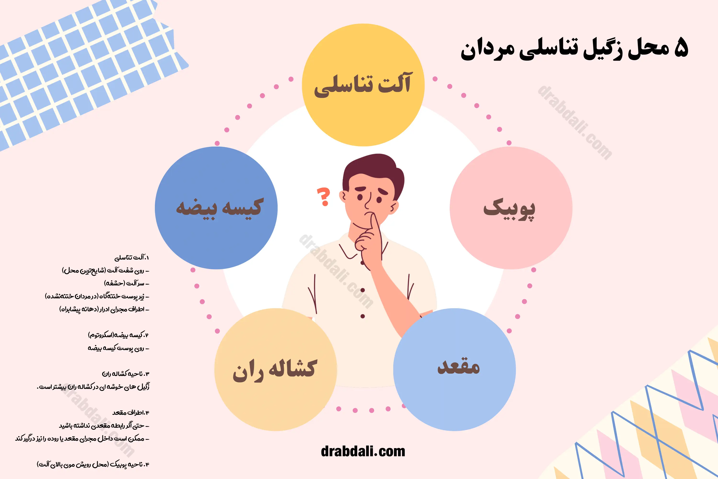 اینفوگرافی محل زگیل تناسلی در مردان