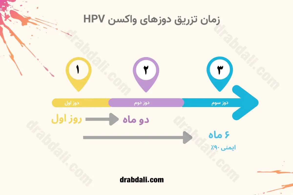 اینفوگرافی زمان تزریق دوز دوم واکسن زگیل تناسلی